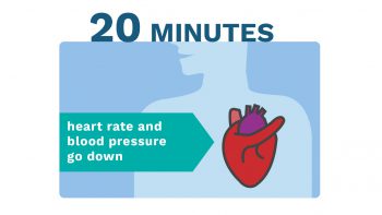 Infographic Showing How Your Body Recovers After You Quit Smoking. Learn more about quitting tobacco.