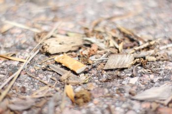 A cigarette butt on the ground. Learn more about quitting tobacco.