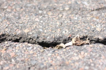 A cigarette butt on the ground. Learn more about quitting tobacco.